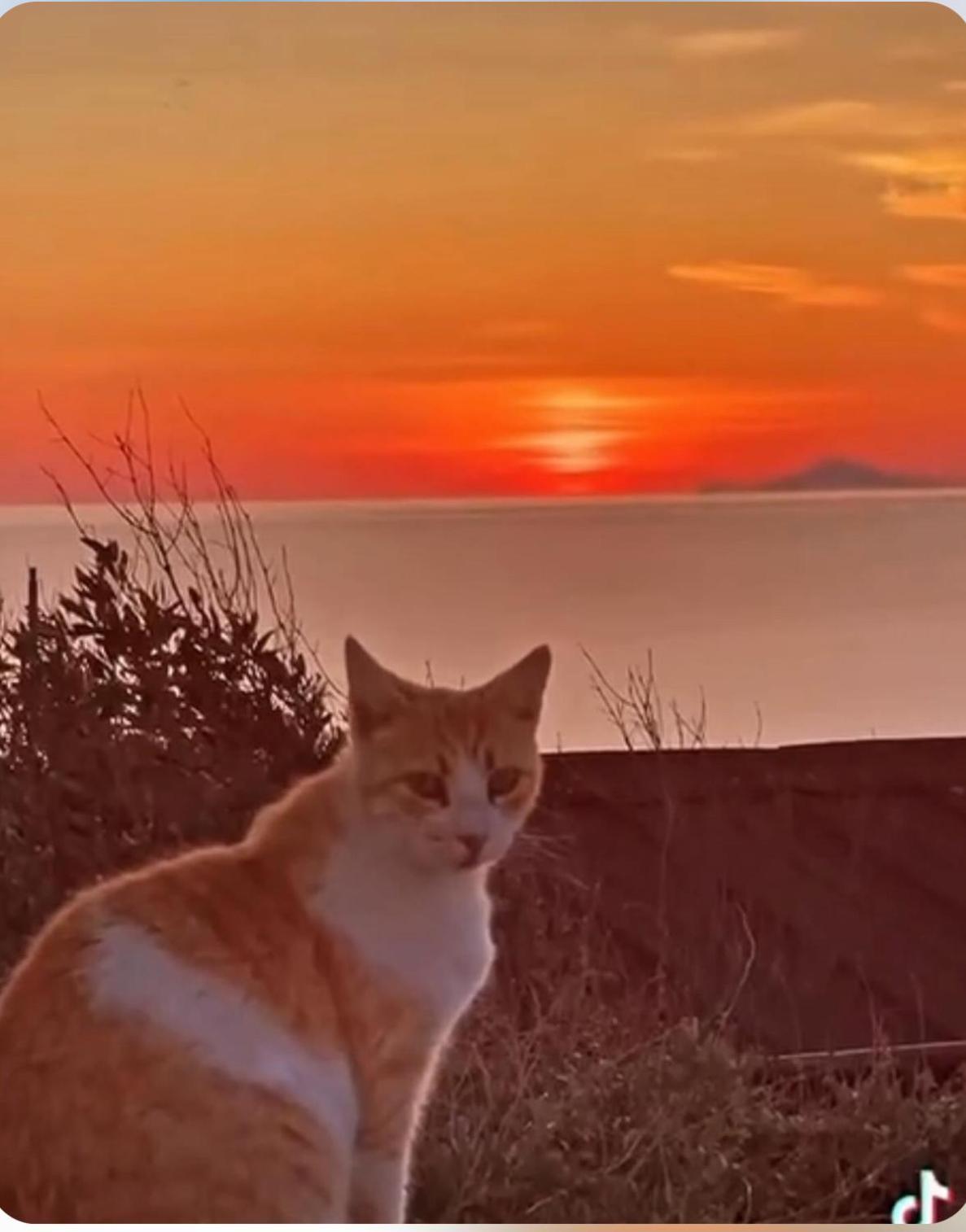 Oia Sunset House Pothitou Villa Bagian luar foto